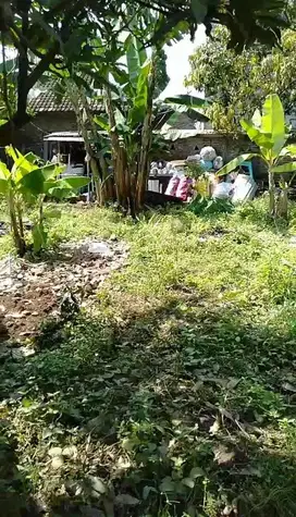Tanah Tembalang Bulusan Timoho Dekat UNDIP Tembalang