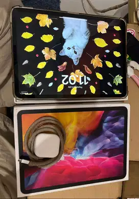 Ipad Pro (11 Inch) Gen 2, inter 128GB wifi Gray space