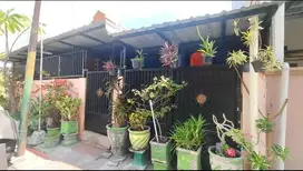 Jl Sambirogo II N 15 Kel Sambikerep Kec Sambikerep Surabaya