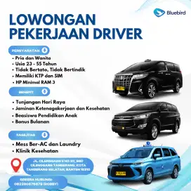 Lowongan Driver Bluebird Pool BSD