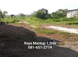 Tanah di Raya Mantup Lamongan