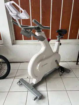 YESOUL Spinning Bike M1