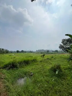Di jual tanah 1 hektar (10, 000 meter)