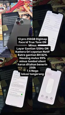 ip 13 pro digimap