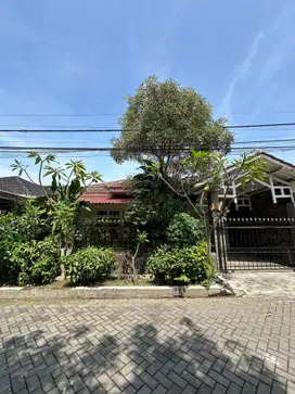 Rumah Bagus SHM di Manyar Indah Siap Huni