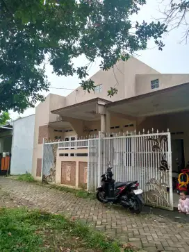 BELUM KETEMU JODOH