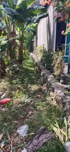 jual tanah tanpa perantara