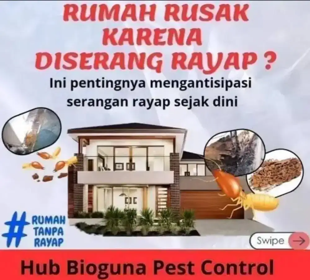 Jasa Anti Rayap Berpengalaman Biaya Terjangkau