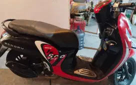 Scoopy Fashion Tahun 2022