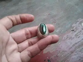 Bacan doko coklat