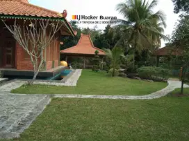 Temukan rumah Luas di Bendul Sukatani, Purwakarta