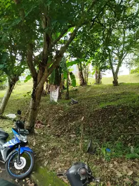 Tanah Matang Siap Bangun Di Dago Resort Harga Murah