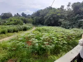 Promo Kavling Murah Bogor Barat – Lokasi Dekat IPB & Jalan Utama,