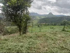 Di jual cepat tanah di Jonggol viu bukit seluas 3 ha