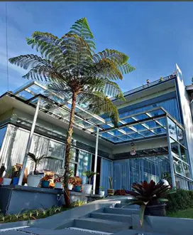 Dijual Villa Cantik di Megamendung