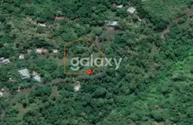 DIJUAL TANAH 30 ARE DI LOVINA TIGAWASA BULELENG, BANJAR, BALI