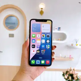 iPhone 11 Pro 256Gb Silver Imei Permanen Register