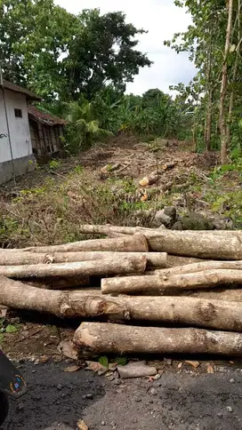 Dijual Cepat Tanah Strategis di Doyong