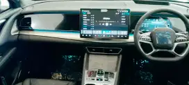 BYD M6 STANDAR GRAY 2024