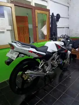 NINJA R UP SS 2014 ALBINO