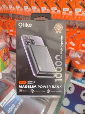 PowerBank Olike P303