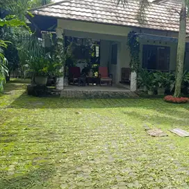 Dijual Rumah Luas Nyaman 2Lt Halaman Luas Dekat Ps Gentan Jakal