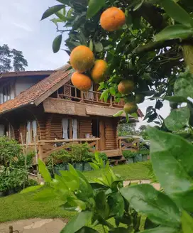 Dijual Rumah Villa Di Cibodas Lembang