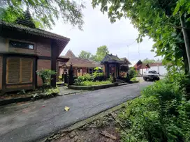 RUMAH BESAR TANAH LUAS 778m² HANYA SETENGAH HARGA DI MINGGIR