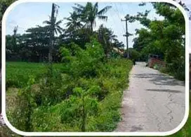 Tanah Kota Bekasi Jl. Rumbia Desa Karang Reja Pebayuran