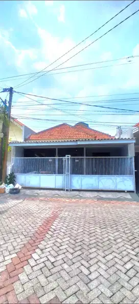NIRWANA EXCECUTIVE 1.5 LT SIAP HUNI