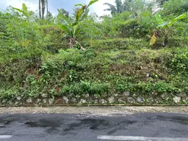Dijual tanah kemuning ngargoyoso