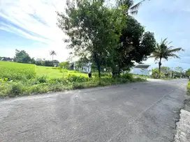 Tanah Kavling Perumahan Dalam Ringroad Jogja, SHM P