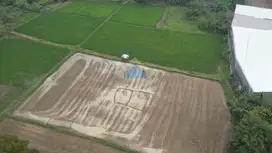 Jual Tanah di Padat karya, Curug, Tangerang - Banten