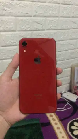 Iphone XR Red Bekas