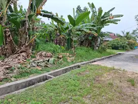 Tanah jl Daru daru X, Tangkerang Timur kota Pekanbaru