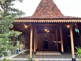 Dijual Rumah Homestay Joglo di Pendowoharjo Sleman