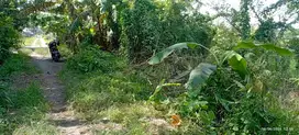 Dijual Tanah Strategis Kalitirto Berbah Sleman