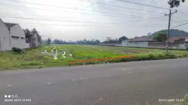 Tanah Sawah Strategis Tepi Jalan Raya Dekat Pasar Godean Yogyakarta