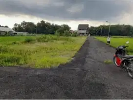 Dijual Tanah Kavling View Sawah di Berbah Sleman