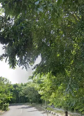 Dijual Tanah Luas Lokasi Sadeng Gunung Pati Semarang