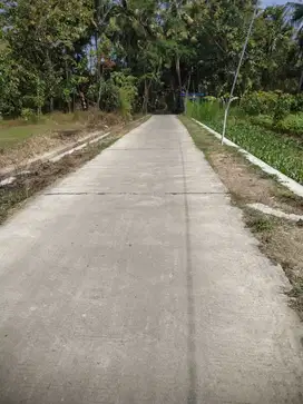 JUAL TANAH DI NGISTIHARJO WATES KULONPROGO VIEW SAWAH