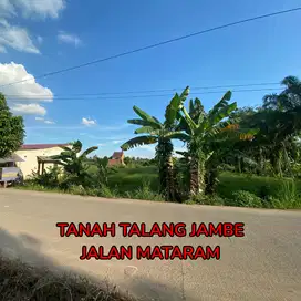 tanah pinggir jalan mataram 1 talang jambe