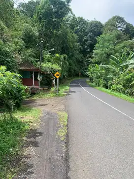 DIJUAL LAHAN 62 ARE DI PUPUAN - TABANAN - BALI