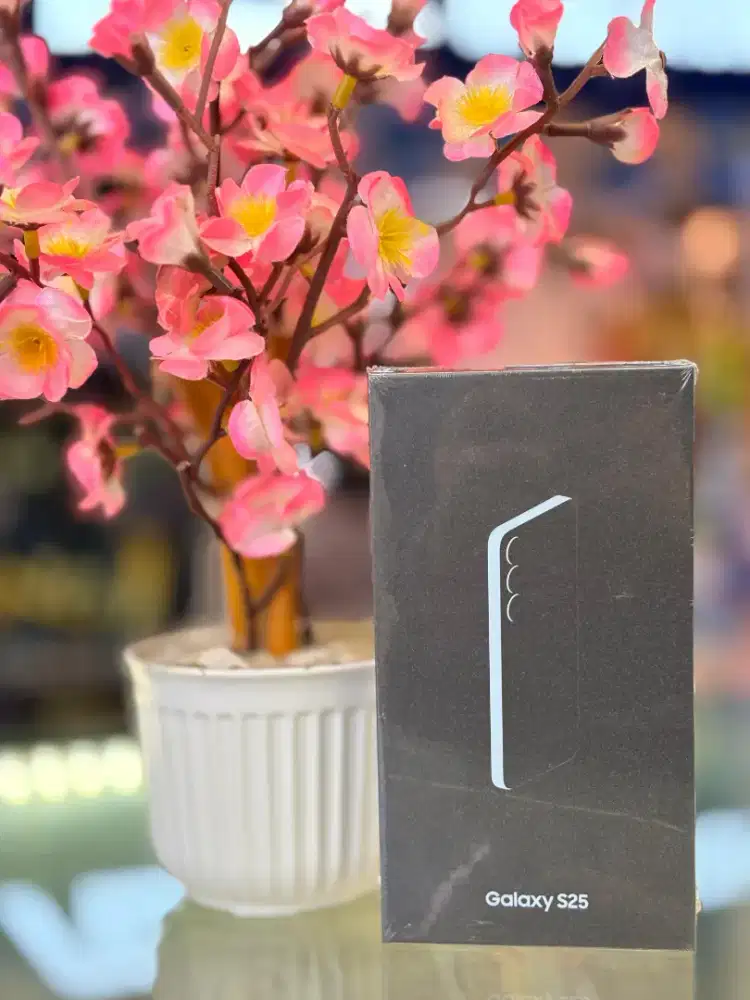 Samsung S25 256gb GARANSI RESMI SEIN
