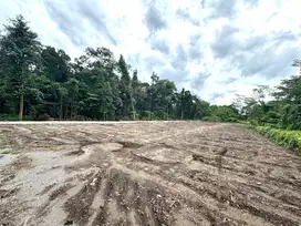 Tanah Jogja Prospek Bangun Kos, 5 Menit Kampus UII