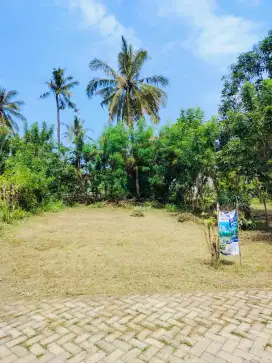 Tanah SHM Siap Bangun Dekat Ketapang Indah. Harga Bawah 100 Juta.