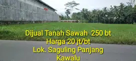 Dijual Tanah Sawah