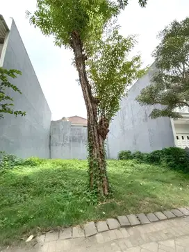 Tanah Pakuwon City San Diego Mulyorejo Surabaya Timur