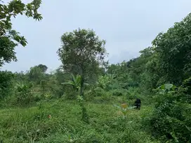 Jual Tanah Kosong-Serang Banten