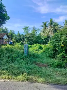 Tanah Pinggir Jalan, Aspal, Dekat Perum dan Homestay